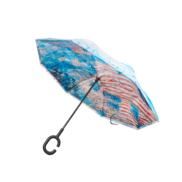 Avenue In The Rain Upside Down Umbrella - Rain Caper