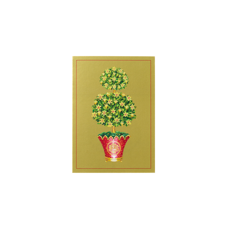 State Room Topiary Gift Enclosure Cards