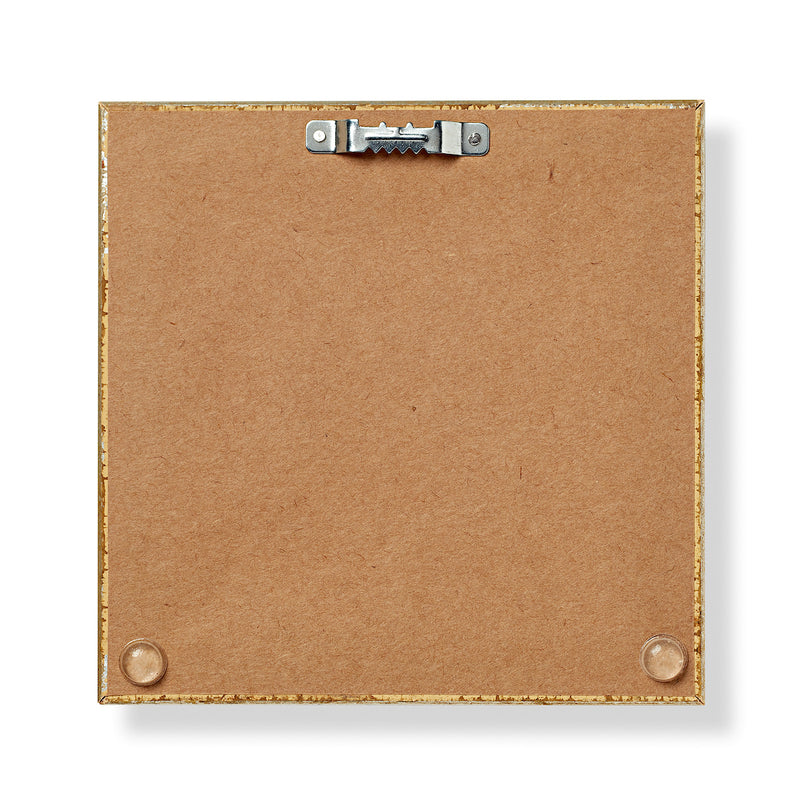 Framed James Hoban Stamp-Back