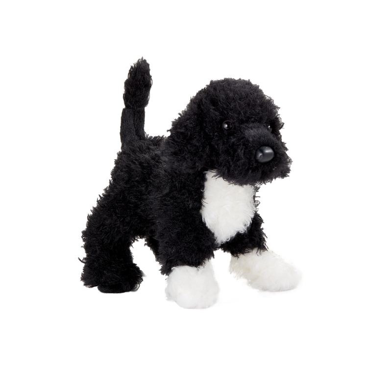 Bo