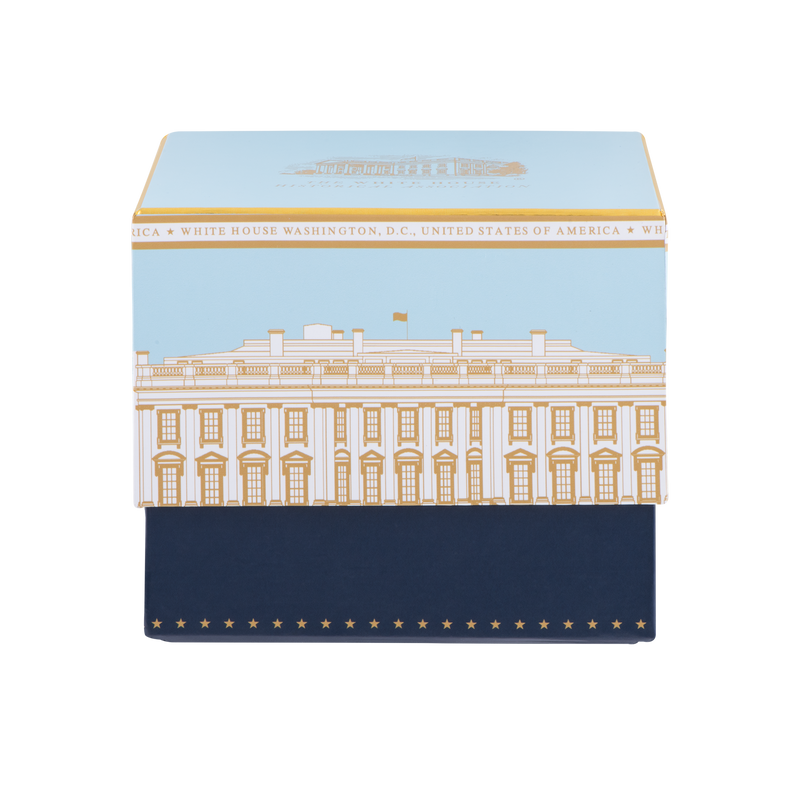 Light Blue White House Mug-In Box