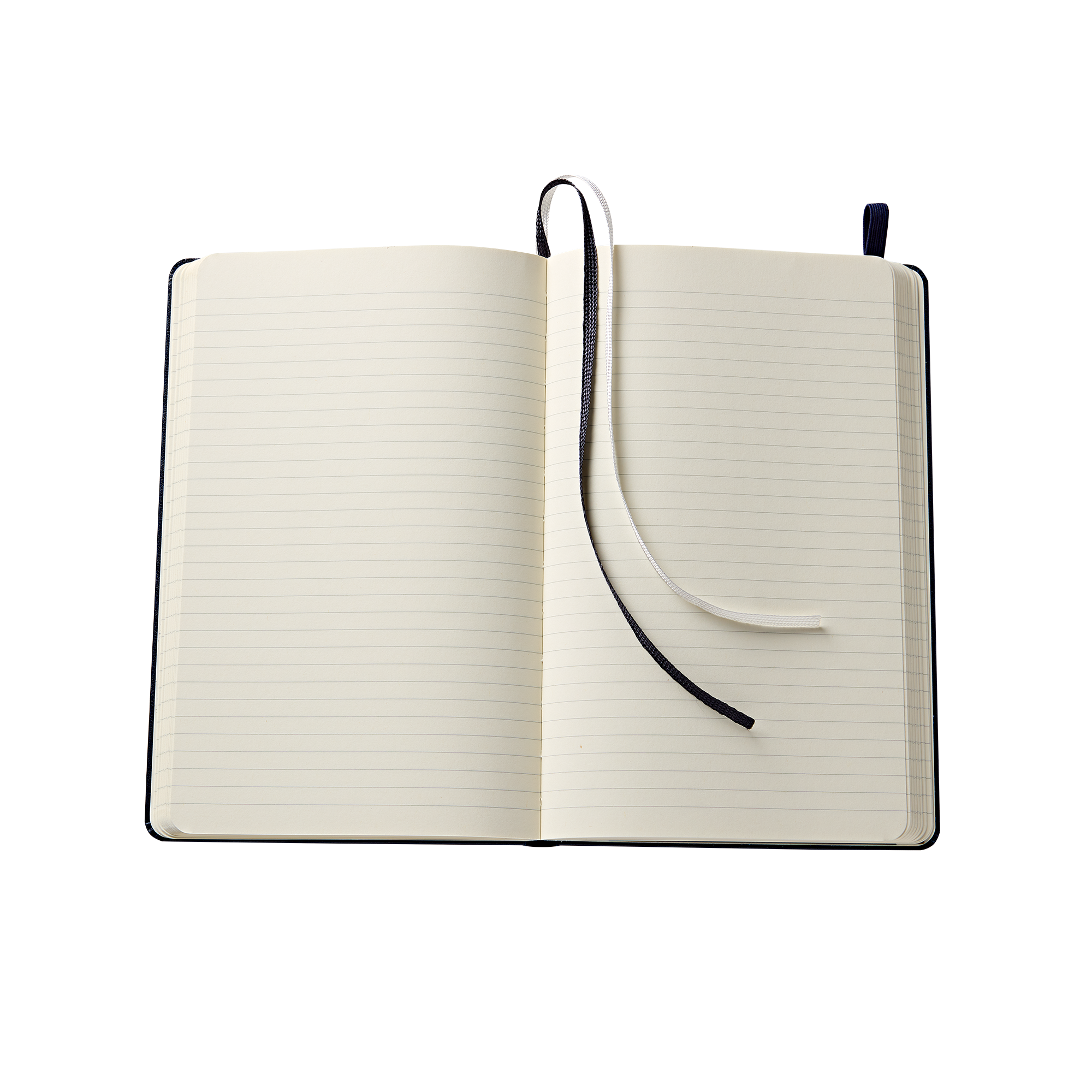 Truman Seal Moleskine Notebook - Large