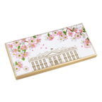 White House with Cherry Blossoms Tray box exterior