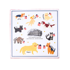 Presidential Pets Pet Bowl box exterior