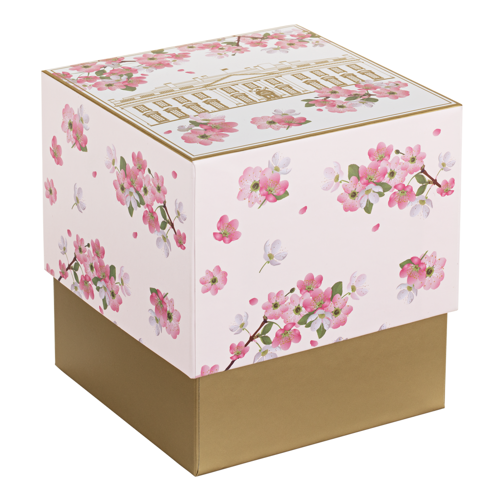Cherry Blossoms at the White House Snow Globe gift box