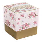 Cherry Blossoms at the White House Snow Globe gift box