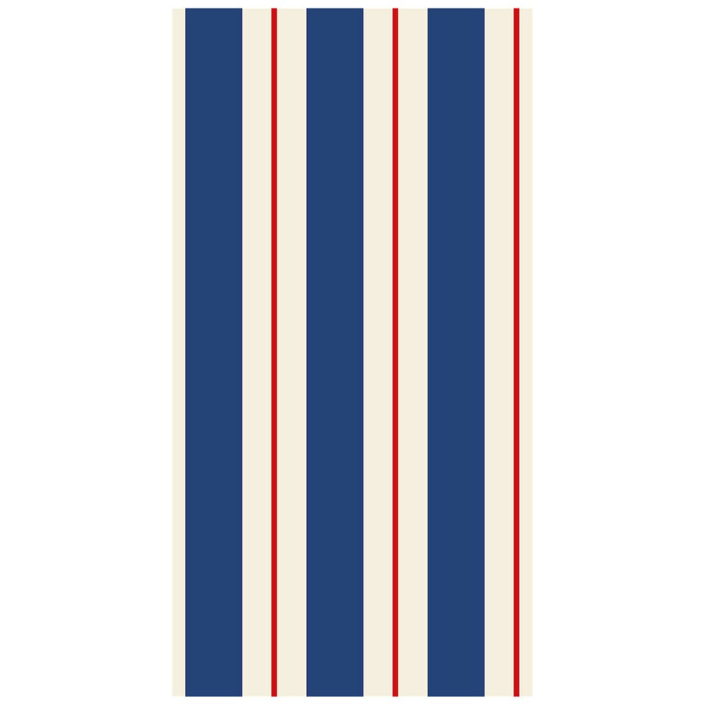 Striped Guest Paper Napkins - Set of 16 print