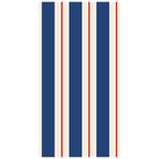 Striped Guest Paper Napkins - Set of 16 print