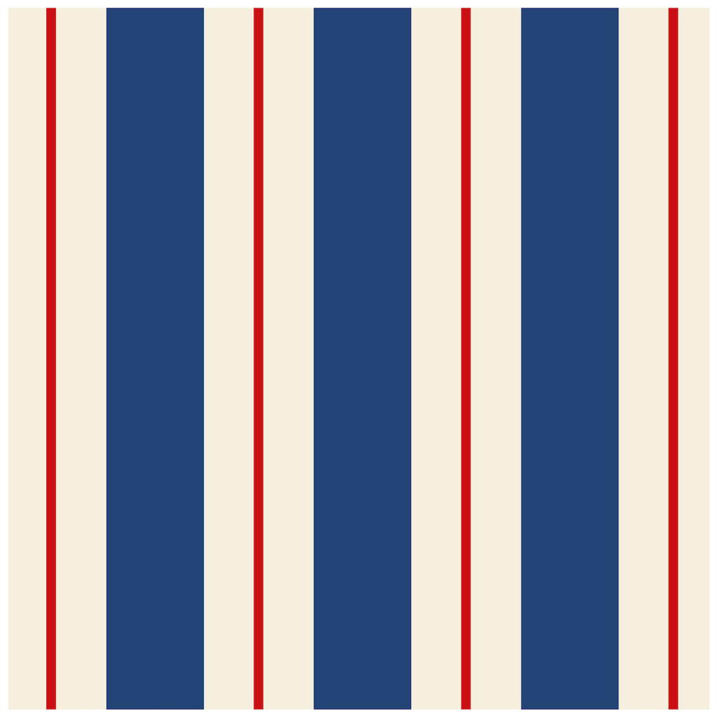 Striped Cocktail Paper Napkins - Set of 20 print