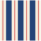 Striped Cocktail Paper Napkins - Set of 20 print
