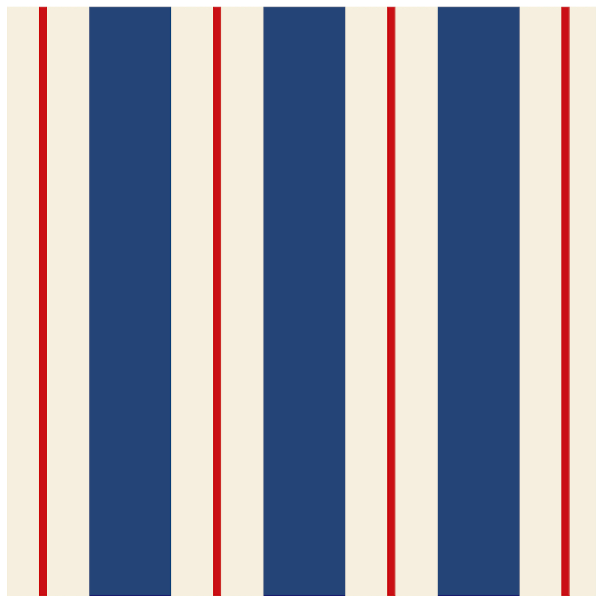Striped Cocktail Paper Napkins - Set of 20 print