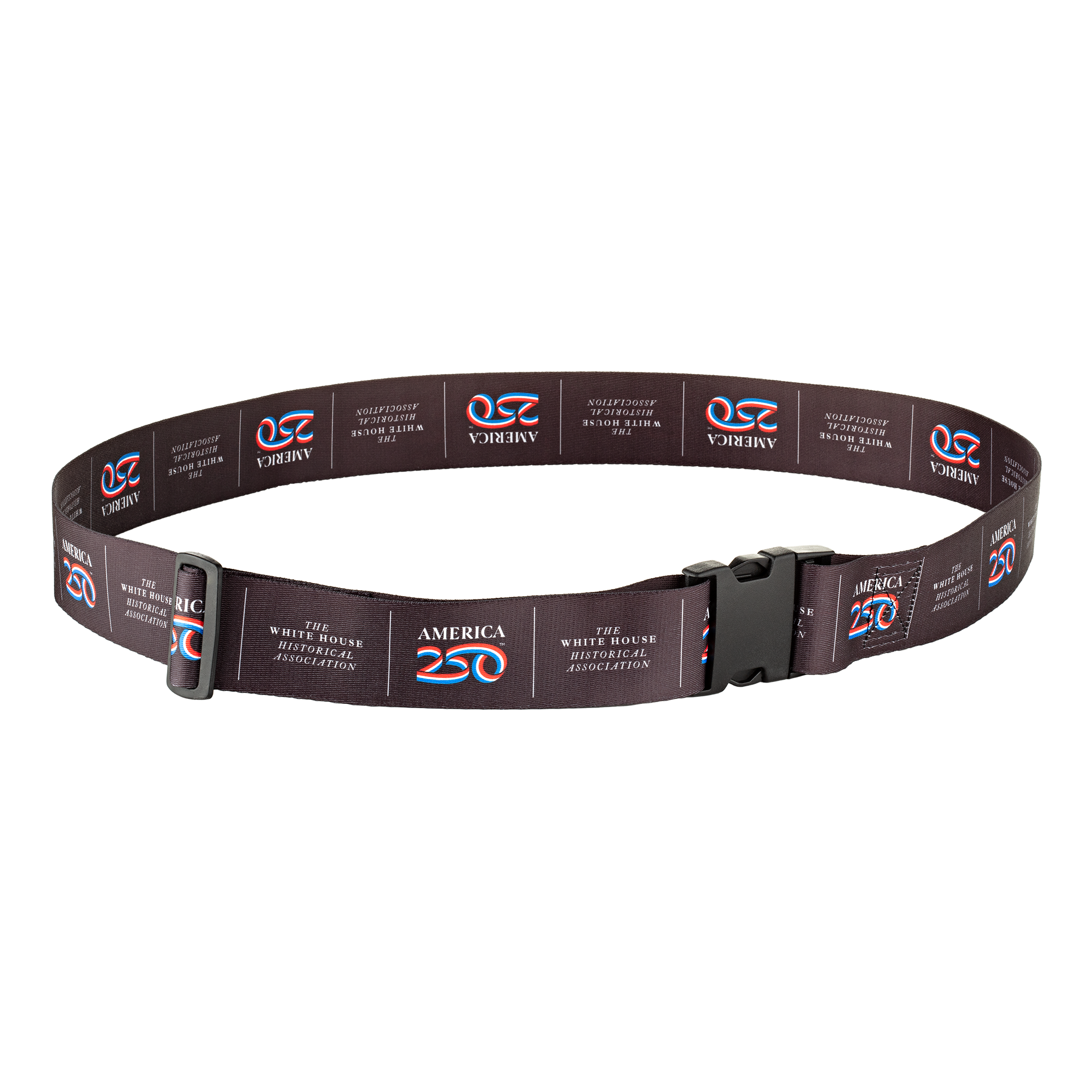 A250 Luggage Strap