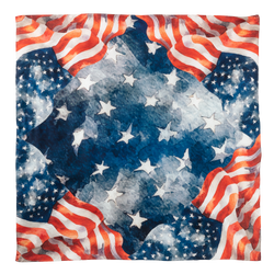 Stars and Stripes Silk Scarf