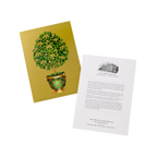 State Room Topiary Note Cards