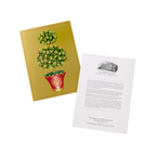 State Room Topiary Note Cards