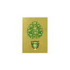 State Room Topiary Gift Enclosure Cards