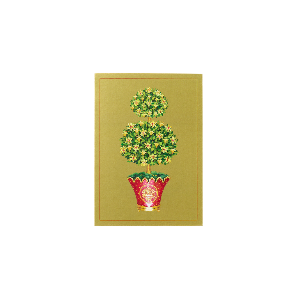State Room Topiary Gift Enclosure Cards