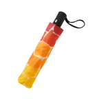 Resurrection Umbrella