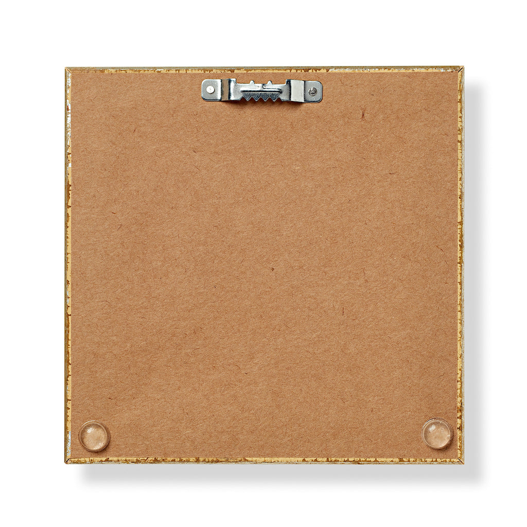 Framed James Hoban Stamp-Back
