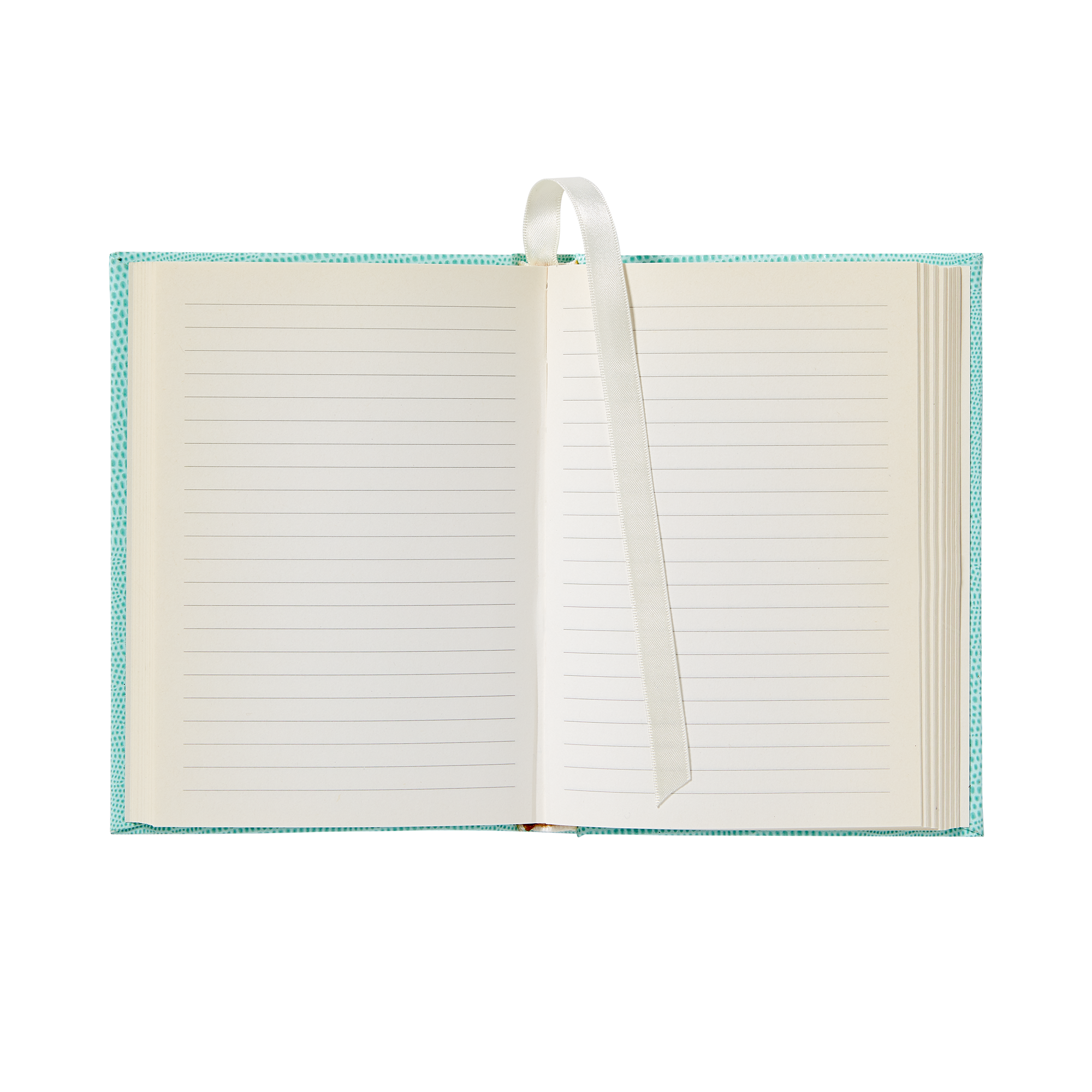 Small Soft Teal White House Notebook-Open Page