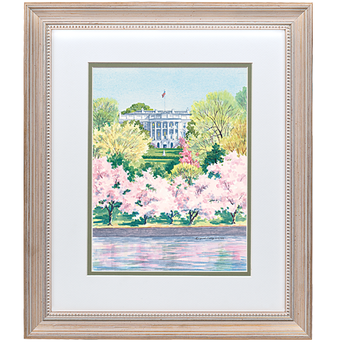 A View of the White House with Cherry Blossoms