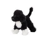 Bo
