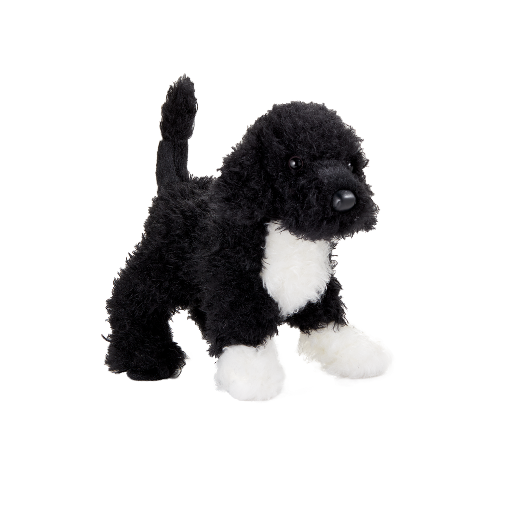 Bo