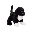 Bo
