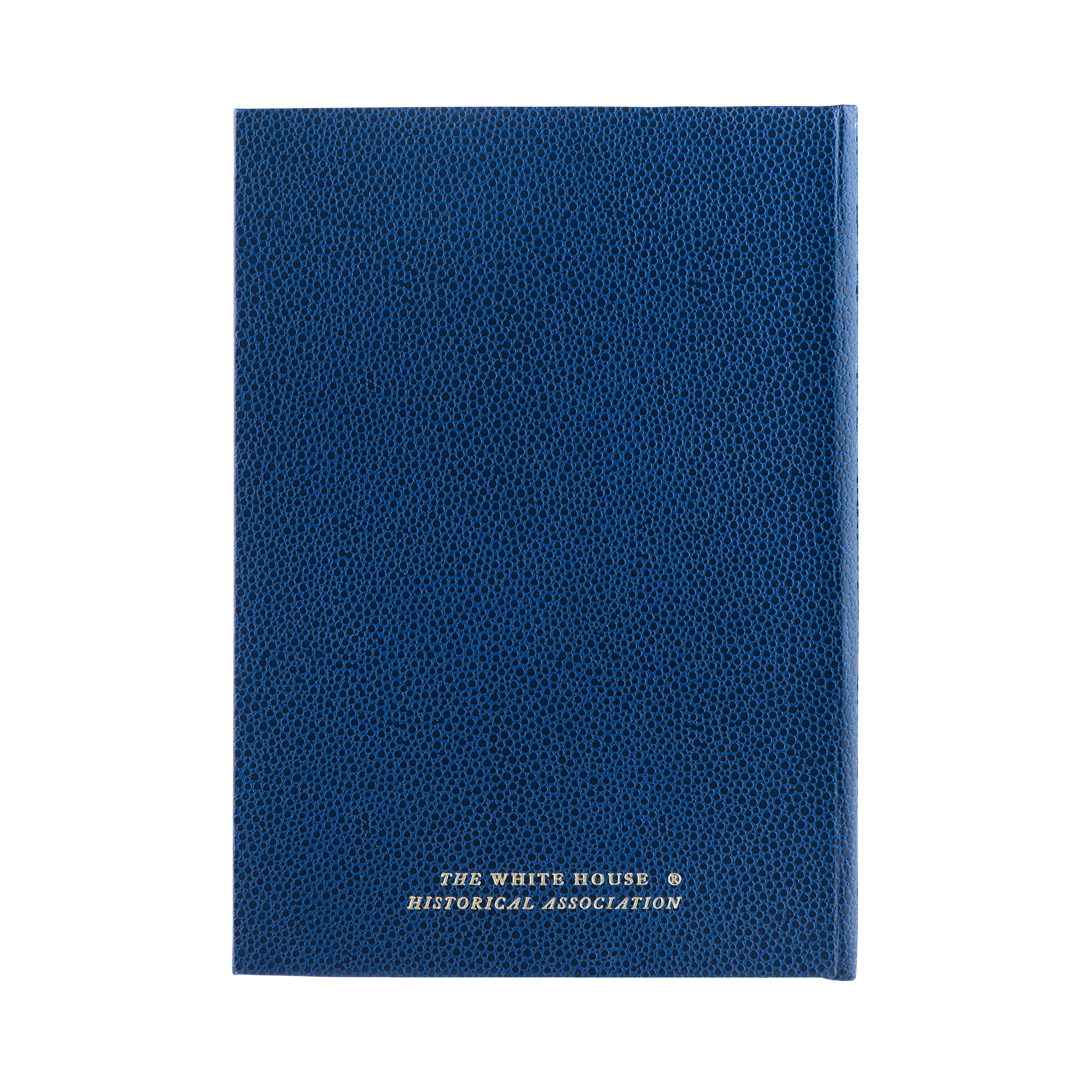 Large Blue Journal-Back