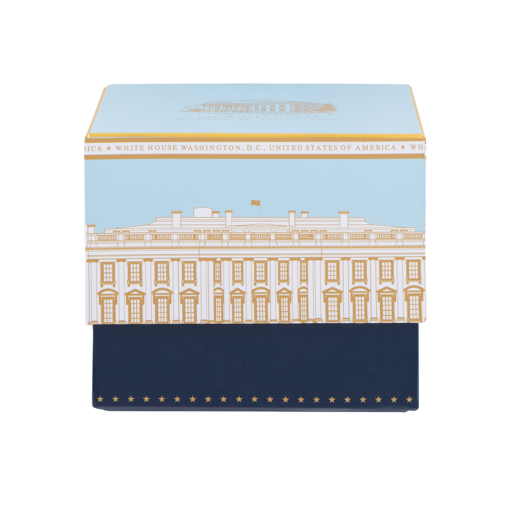 Light Blue White House Mug-In Box